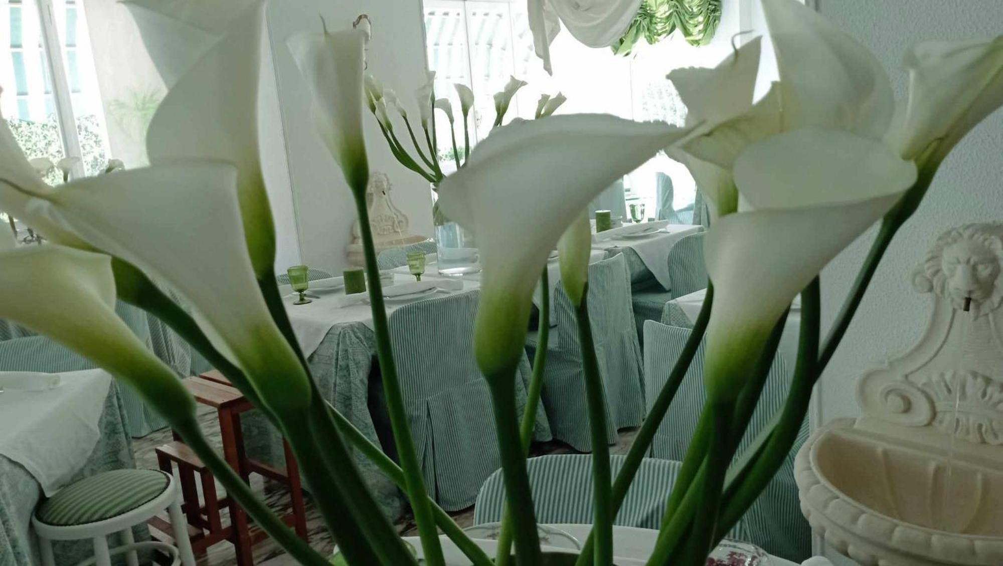 Eveline Portosole Hotel Санремо Екстер'єр фото